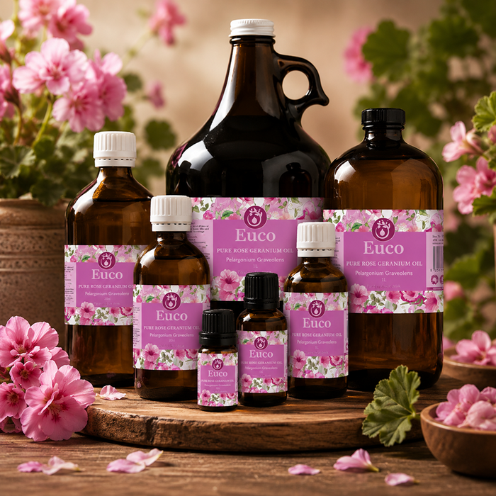Rose Geranium Oil