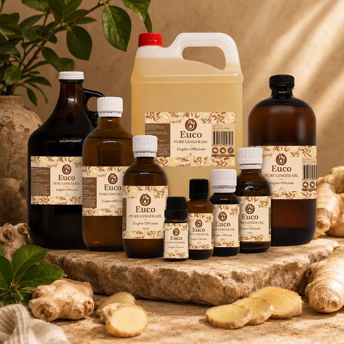 Ginger Oil