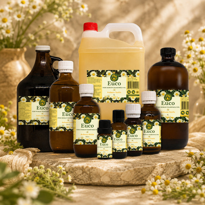 Roman Chamomile Oil